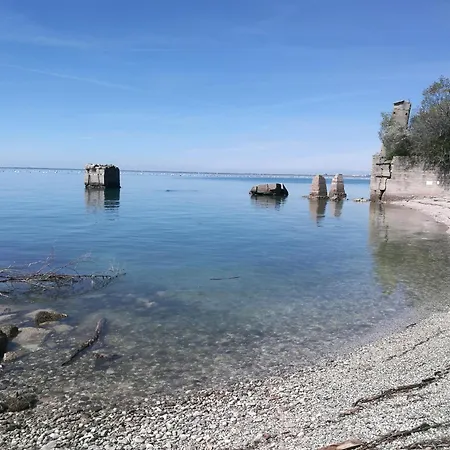 Living - Professional 招待所 *