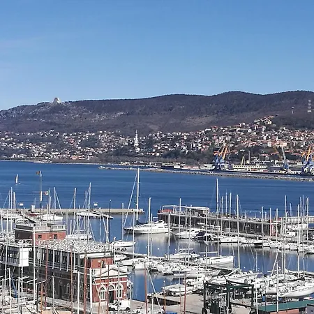 Living - Professional * 的里雅斯特